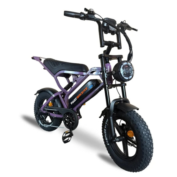 V20 Mini Fatbike - Paars - Hydraulische Remmen
