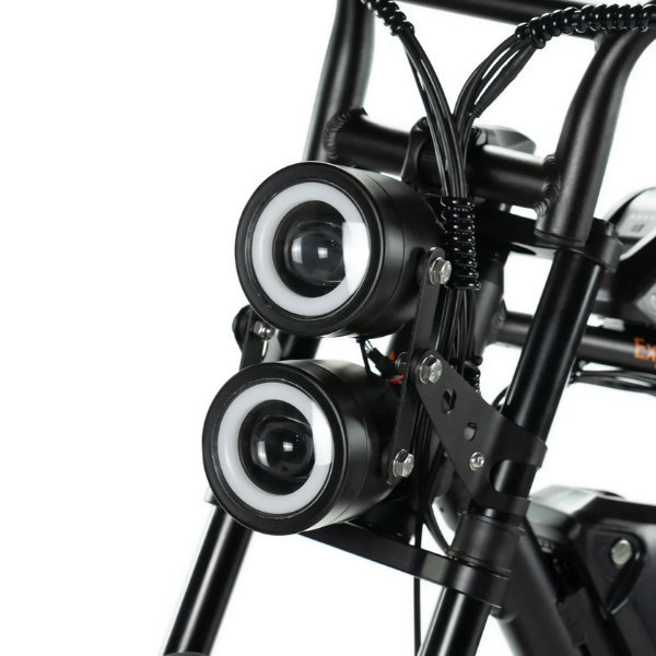 ENGWE M20 - Fatbike - Dubbele Accu - Zwart