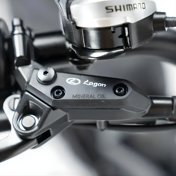 Fatbike BEST SELLER - FastBikerz V20PRO 9.0 Zwart