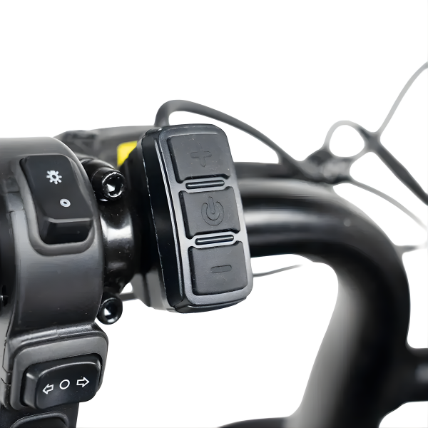 Fatbike COMBIDEAL - FastBikerz S20 PRO Zwart + Achterzitje + Voetsteuntjes + Voorslot + Slot + Telefoonhouder