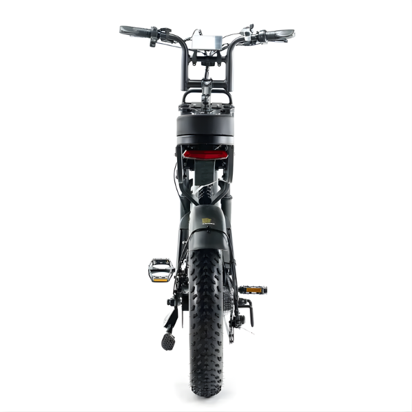 Fatbike COMBIDEAL - FastBikerz V20PRO 9.0 Zwart + Achterzitje + Voetsteuntjes + Voorslot + Slot + Telefoonhouder