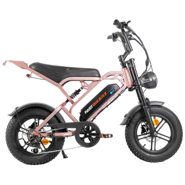 V20 Mini Fatbike – Schwarz – Hydraulische Bremsen
