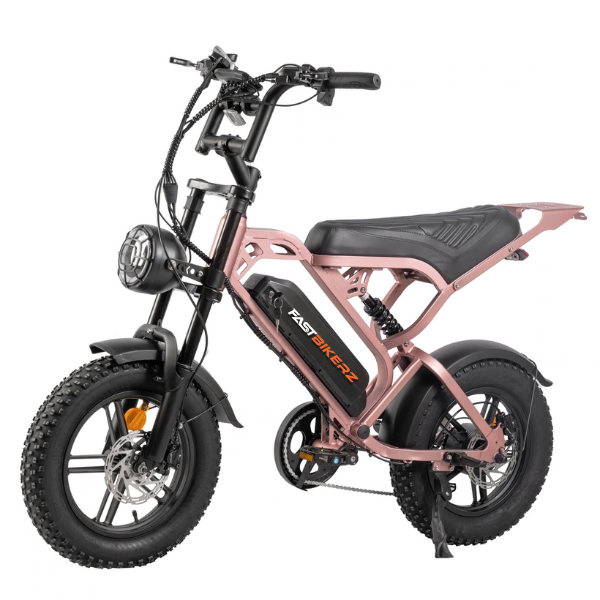 V20 Mini Fatbike – Schwarz – Hydraulische Bremsen