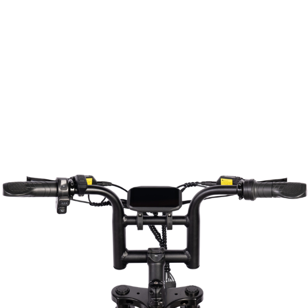 V20 Mini Fatbike – Schwarz – Hydraulische Bremsen