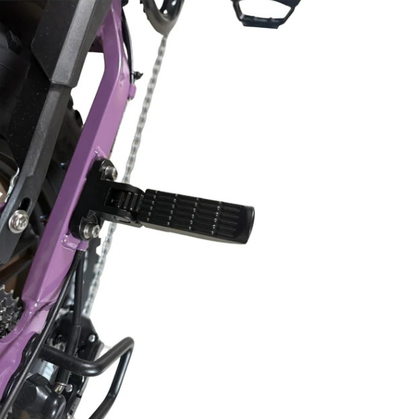 V20 Mini Fatbike - Paars - Hydraulische Remmen