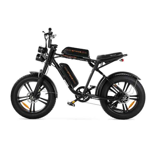 ENGWE M20 - Fatbike - Dubbele Accu - Zwart