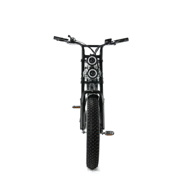 ENGWE M20 - Fatbike - Dubbele Accu - Zwart