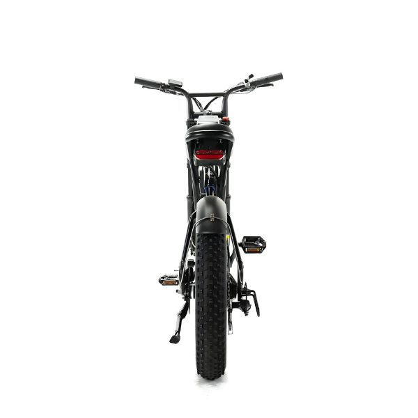 ENGWE M20 - Fatbike - Dubbele Accu - Zwart