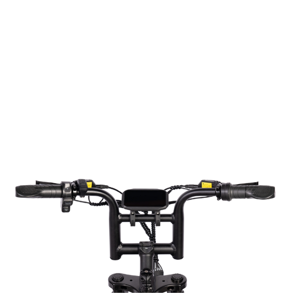 V20 Mini Fatbike - Zwart - Hydraulische Remmen