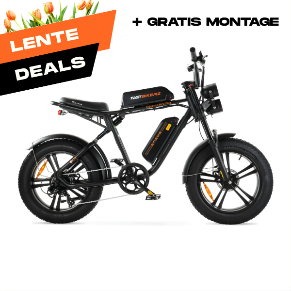 ENGWE M20 - Fatbike - Dubbele Accu - Zwart