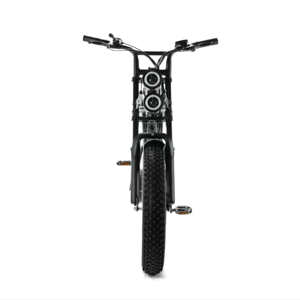 ENGWE M20 - Fatbike - Dubbele Accu - Zwart