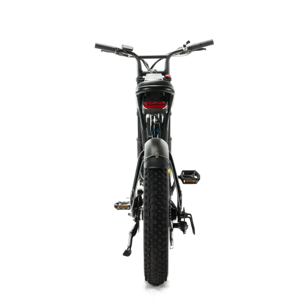 ENGWE M20 - Fatbike - Dubbele Accu - Zwart
