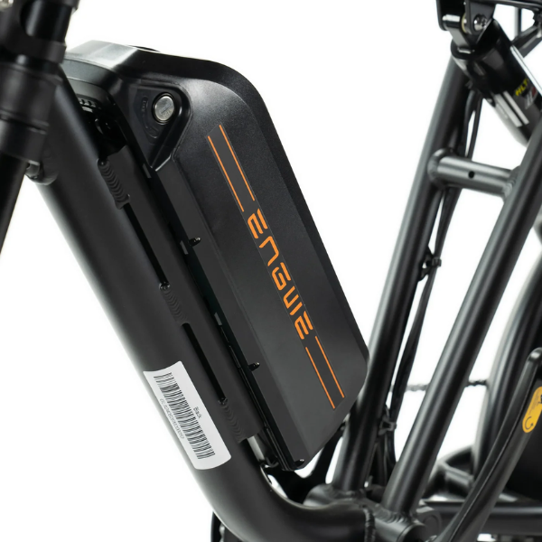 ENGWE M20 - Fatbike - Dubbele Accu - Zwart
