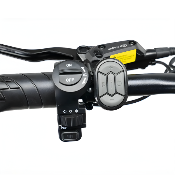 Family Fatbike - Ouxi V8 6.0 (C80) - Zwart - Tot 3 jaar (Inclusief alle accessoires)