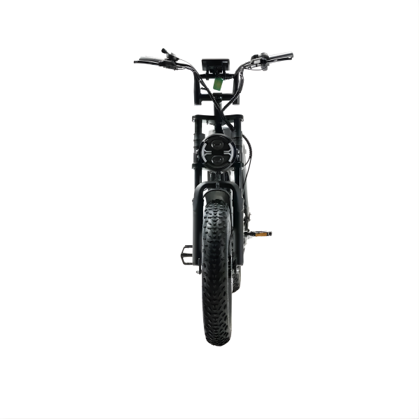 Fatbike - Ouxi V8 Max 6.0 (C80) dubbele accu - Zwart
