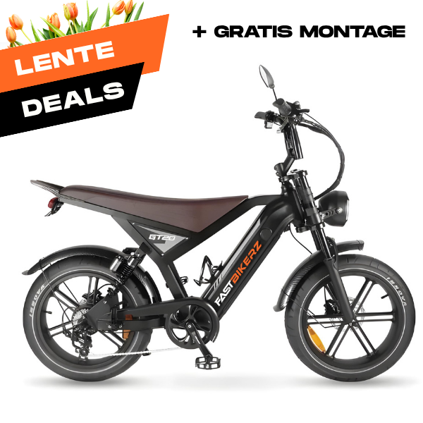 Fatbike GT-20 Zwart | Elektrische Fatbike met Hydraulische Remmen