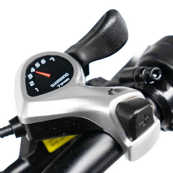 Fatbike COMBIDEAL - FastBikerz S20 PRO Zwart + Achterzitje + Voetsteuntjes + Voorslot + Slot + Telefoonhouder