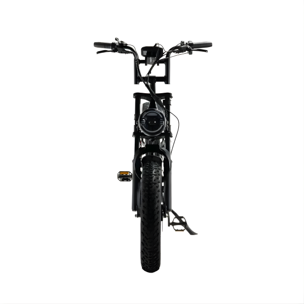 Fatbike COMBIDEAL - FastBikerz S20 PRO Zwart + Achterzitje + Voetsteuntjes + Voorslot + Slot + Telefoonhouder